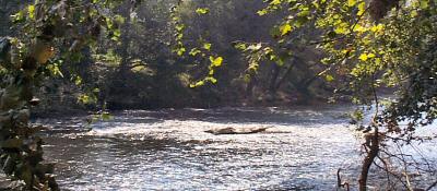 Ellijay River Ellijay River