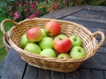 Apple Basket